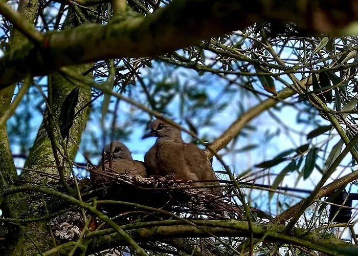 De Oude Smederij Voor 2 Personen In \'T Veld